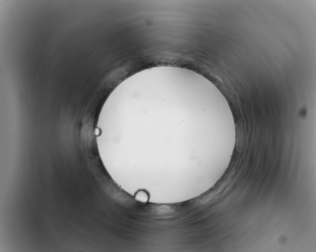 X0000102770287200808181002