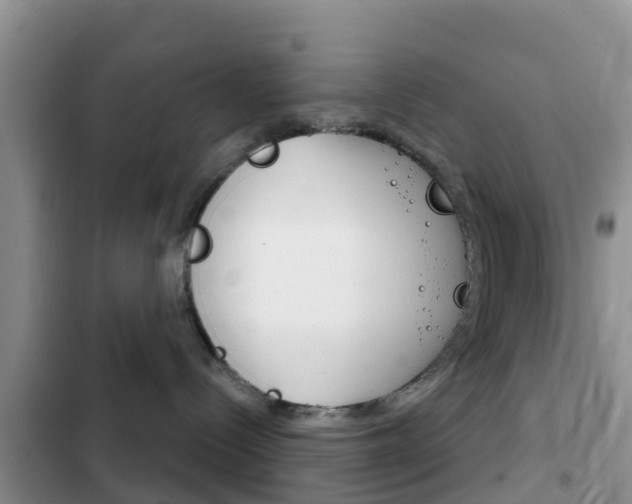 X0000102770288200808181002