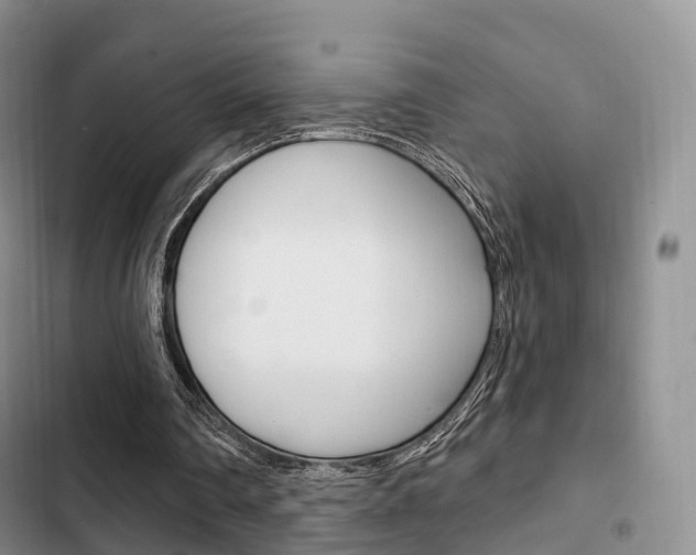 X0000102770290200808181001