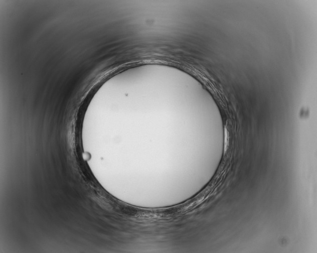X0000102770291200808181001