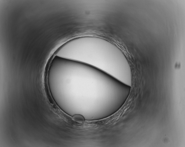 X0000102770292200808181001