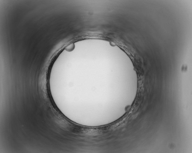 X0000102770293200808181001