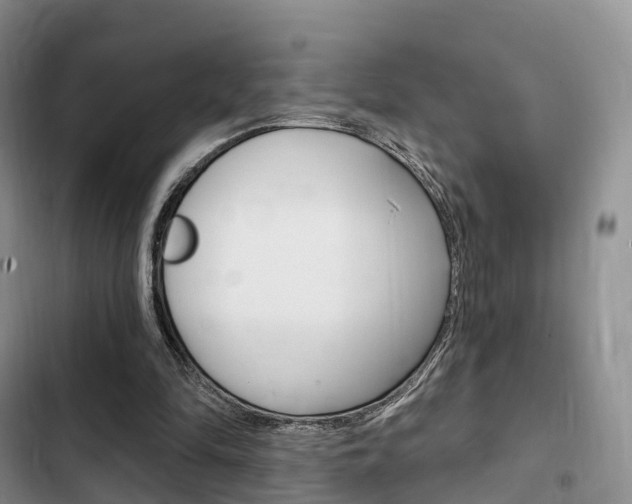 X0000102770294200808181001