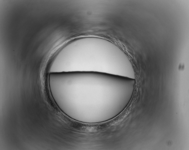 X0000102770295200808181001