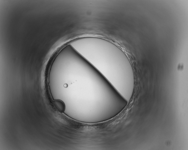 X0000102770296200808181001