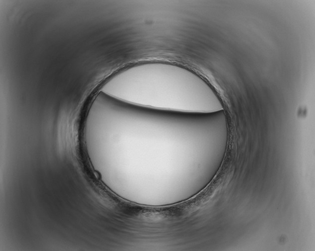 X0000102770299200808181001
