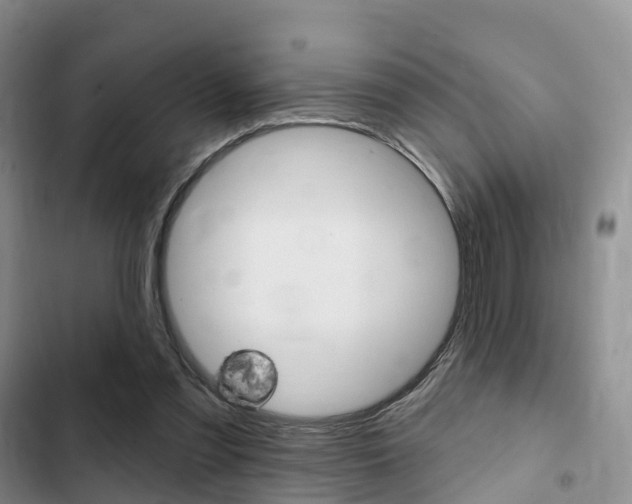 X0000102770301200808181001