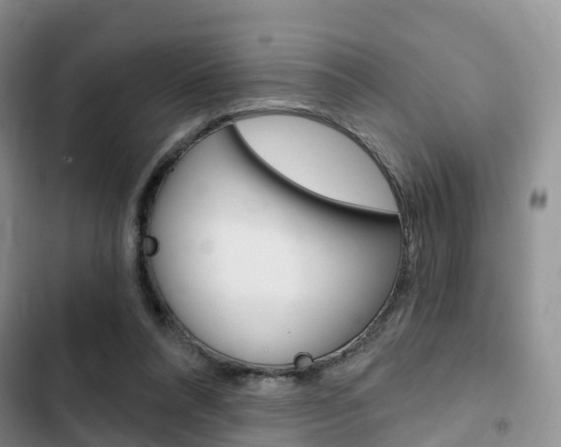 X0000102770304200808181001