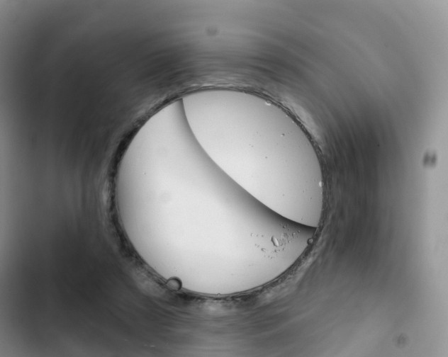 X0000102770305200808181001