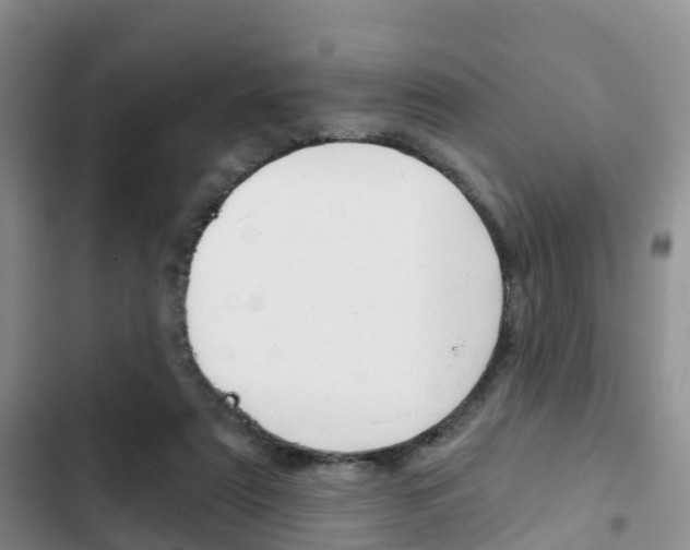 X0000102770307200808181001