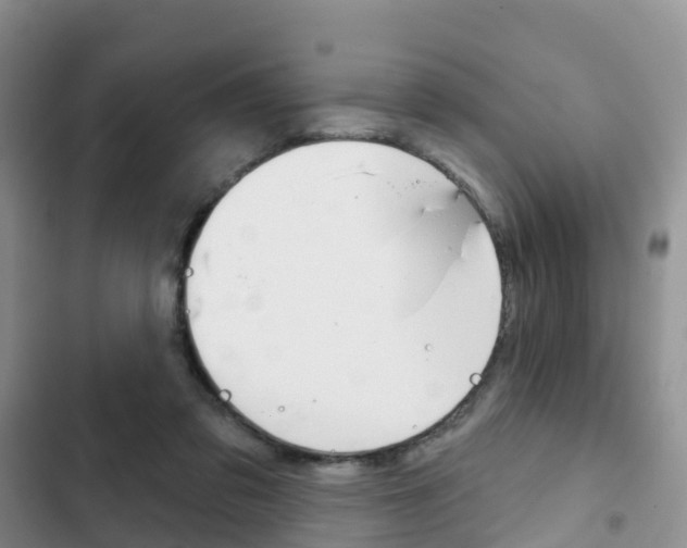 X0000102770309200808181001