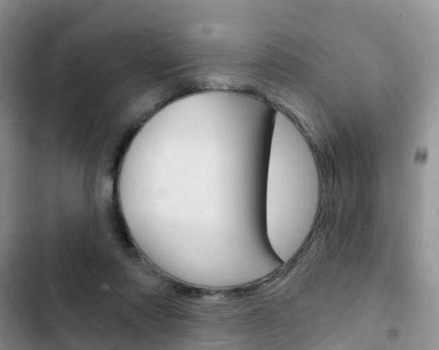 X0000102770310200808181001