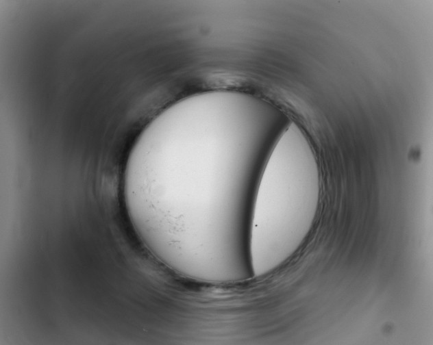 X0000102770315200808181001