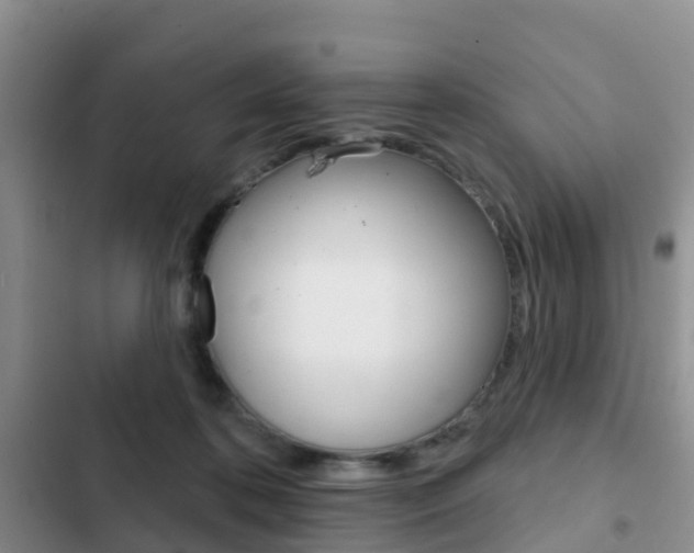 X0000102770316200808181001