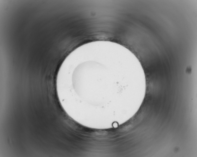 X0000102770317200808181001