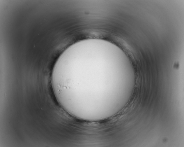 X0000102770318200808181001
