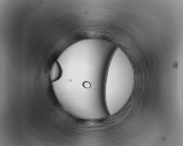 X0000102770319200808181001