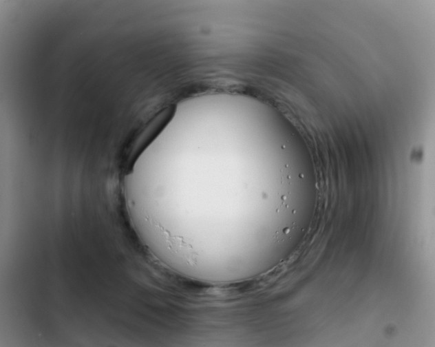 X0000102770320200808181001