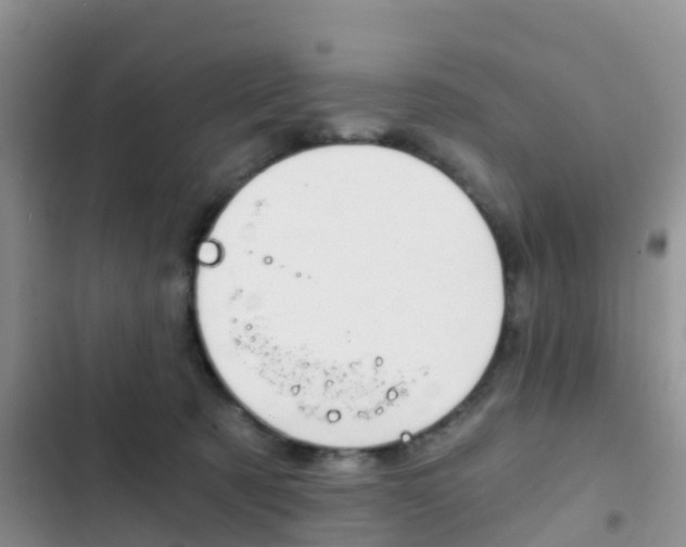 X0000102770321200808181001