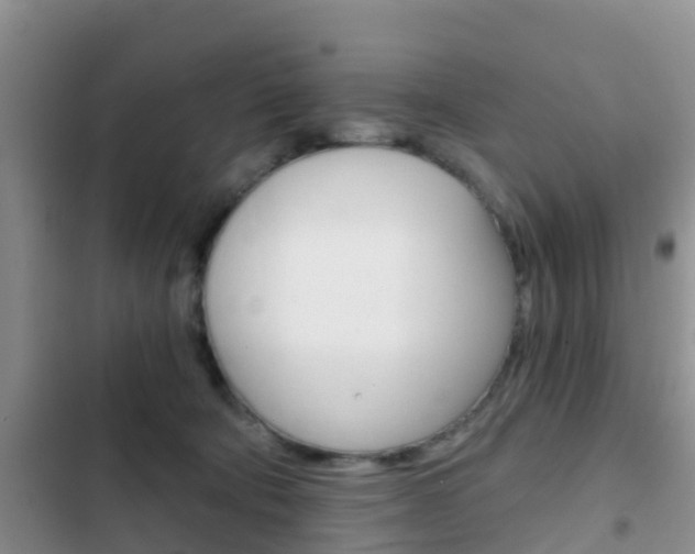 X0000102770322200808181001