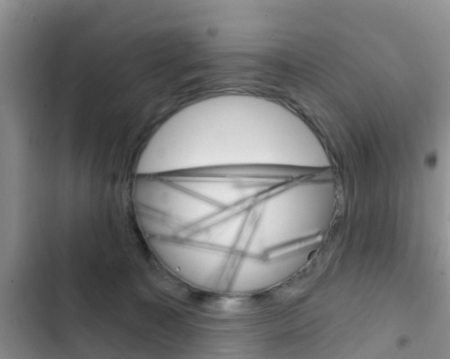 X0000102770323200808181001