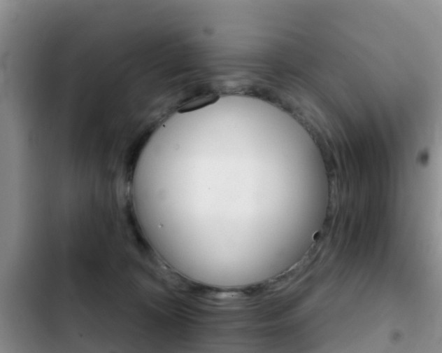 X0000102770324200808181001