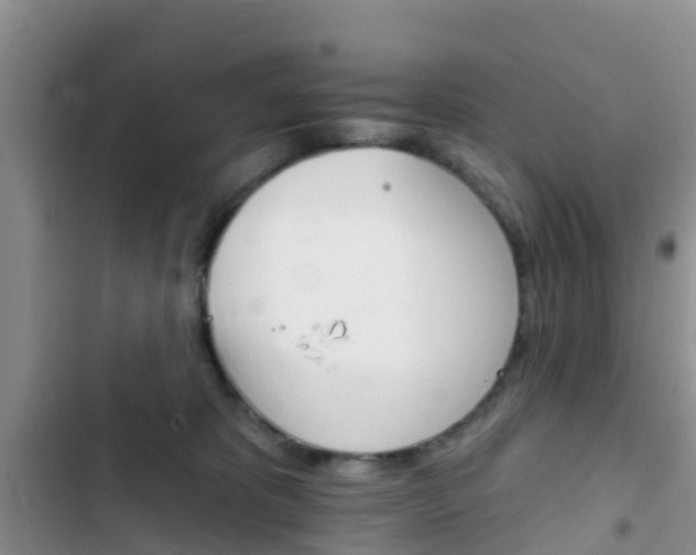 X0000102770325200808181001