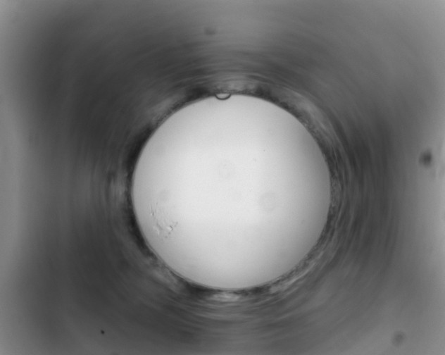 X0000102770326200808181001