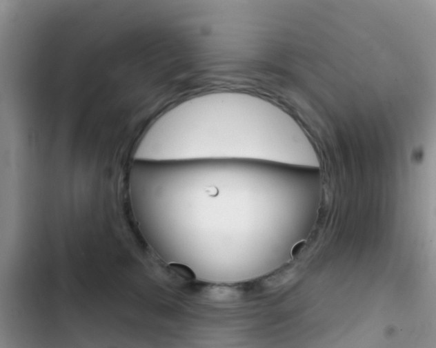 X0000102770327200808181001