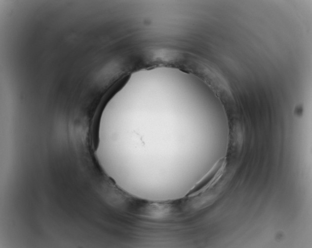 X0000102770328200808181000