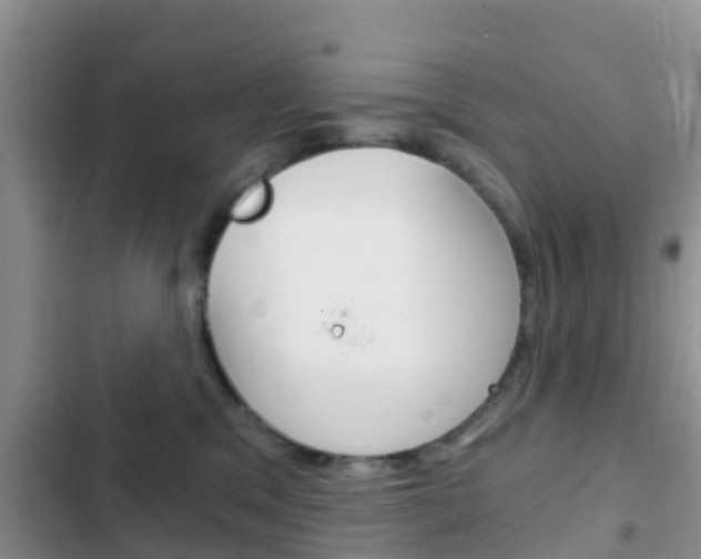 X0000102770329200808181000