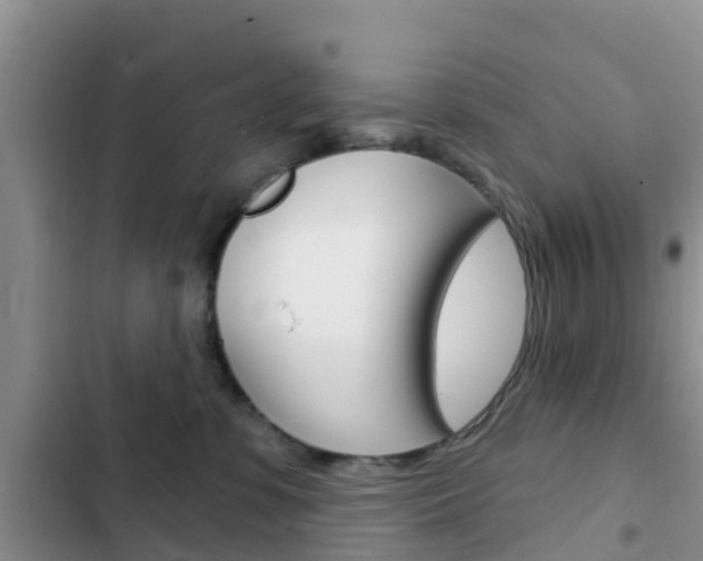 X0000102770331200808181000