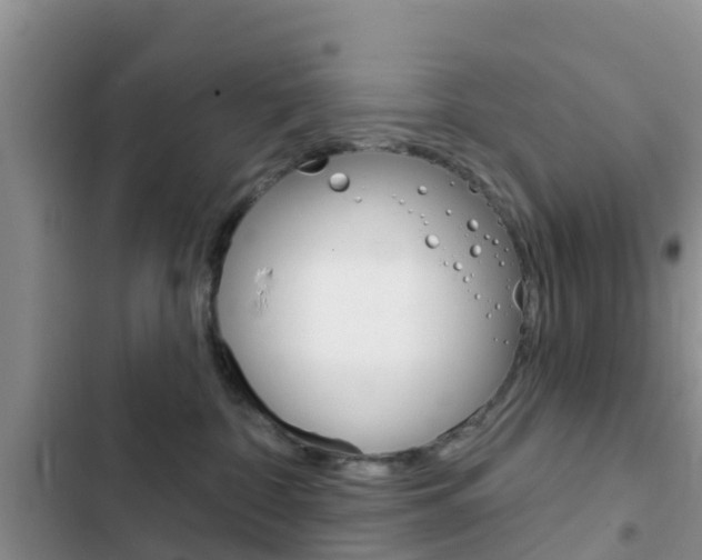 X0000102770332200808181000