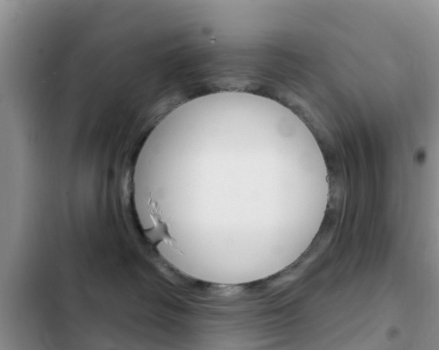 X0000102770334200808181000