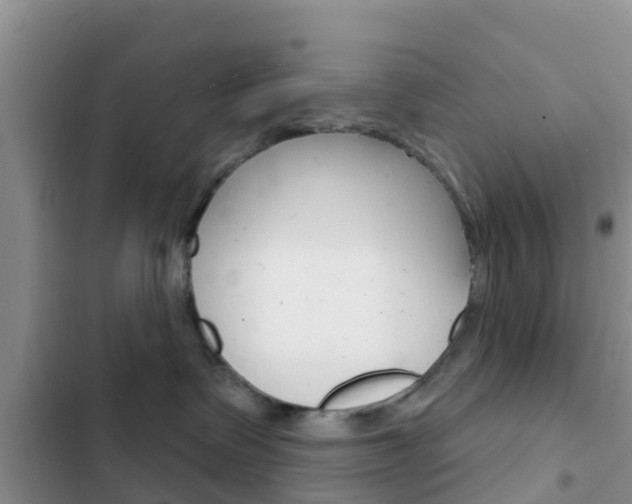 X0000102770335200808181000