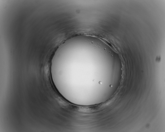 X0000102770336200808181000