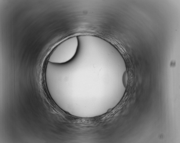 X0000102770338200808181000