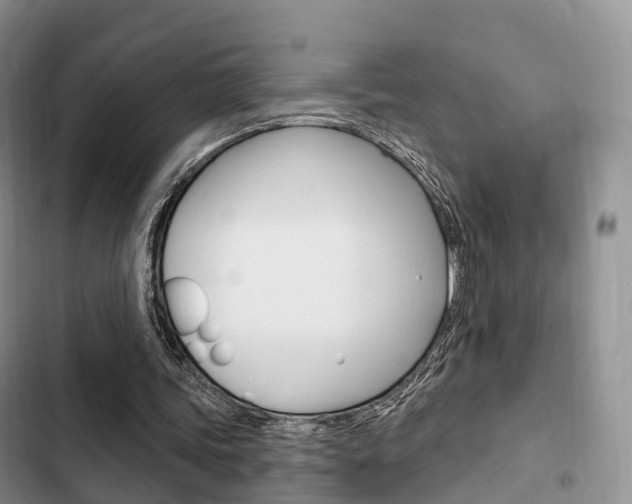 X0000102770339200808181000