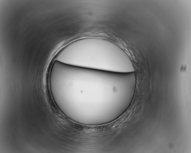 X0000102770340200808181000