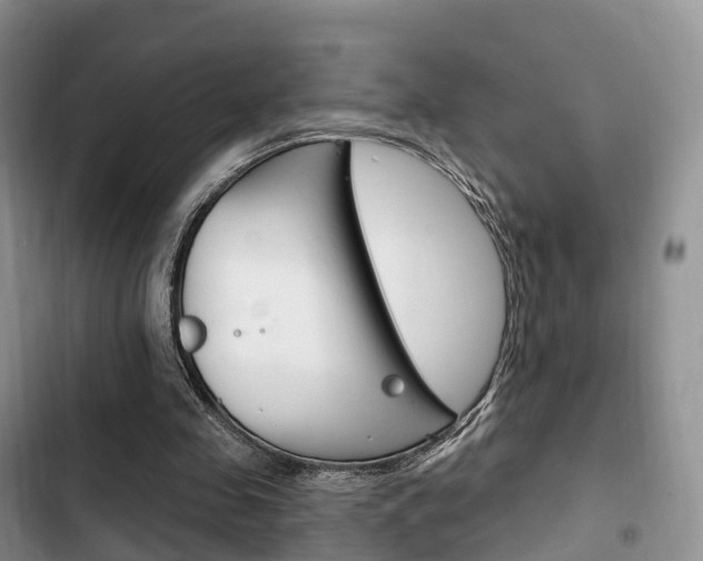 X0000102770341200808181000