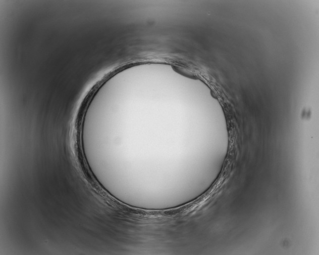 X0000102770342200808181000