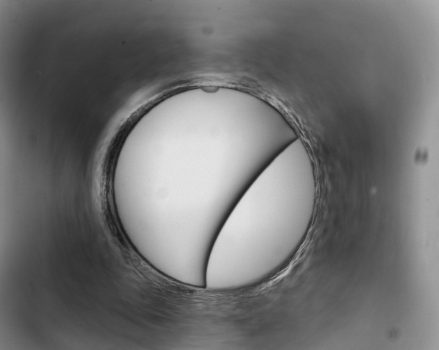 X0000102770343200808181000
