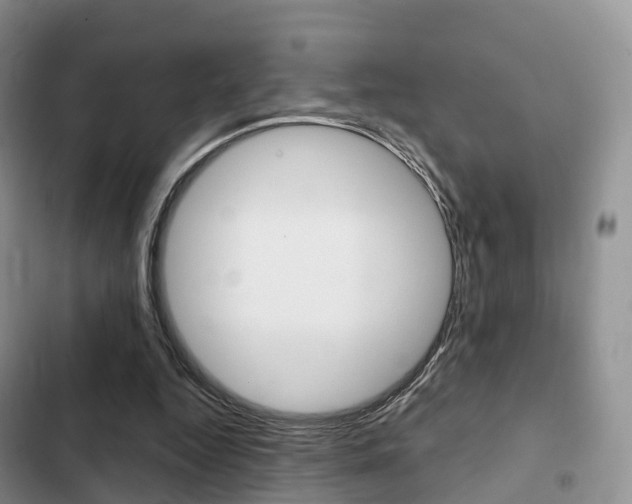 X0000102770344200808181000