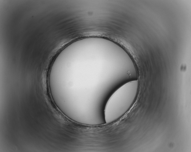 X0000102770345200808181000