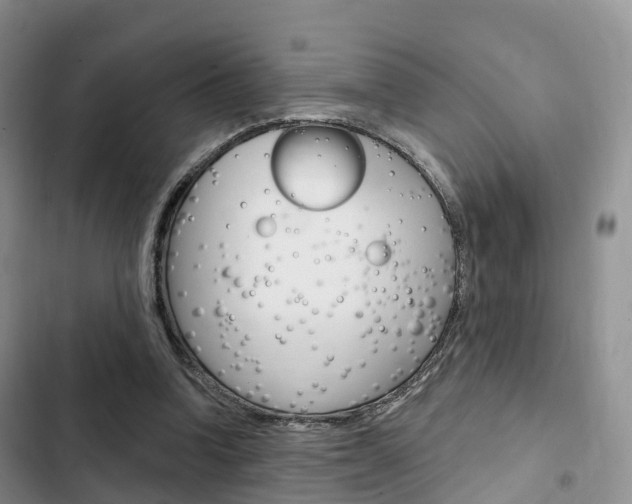 X0000102770346200808181000