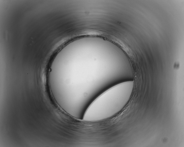 X0000102770350200808181000