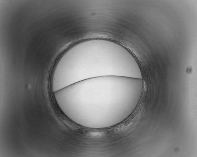 X0000102770352200808181000