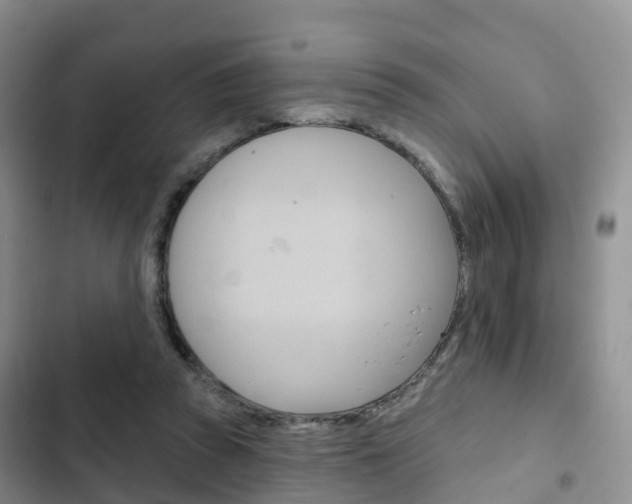 X0000102770353200808181000