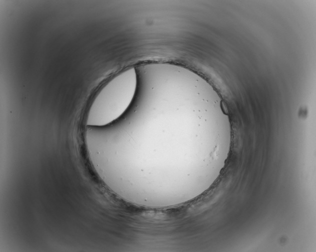 X0000102770354200808181000
