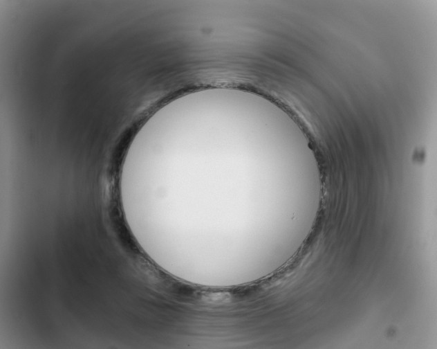 X0000102770355200808181000